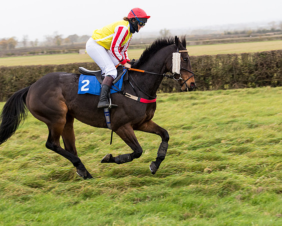 Race 6 - PPORA Novice Riders (45 of 290)