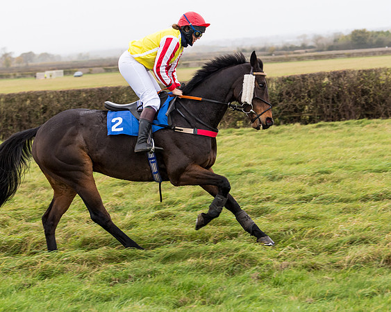 Race 6 - PPORA Novice Riders (46 of 290)