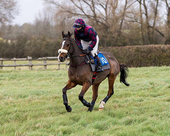 Race 6 - PPORA Novice Riders (48 of 290)
