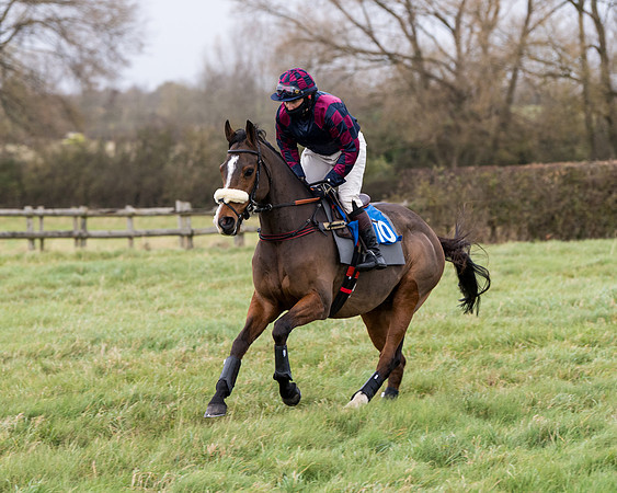 Race 6 - PPORA Novice Riders (49 of 290)