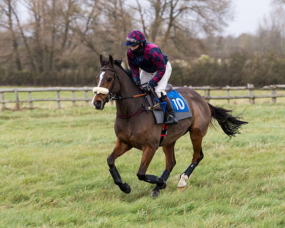 Race 6 - PPORA Novice Riders (51 of 290)