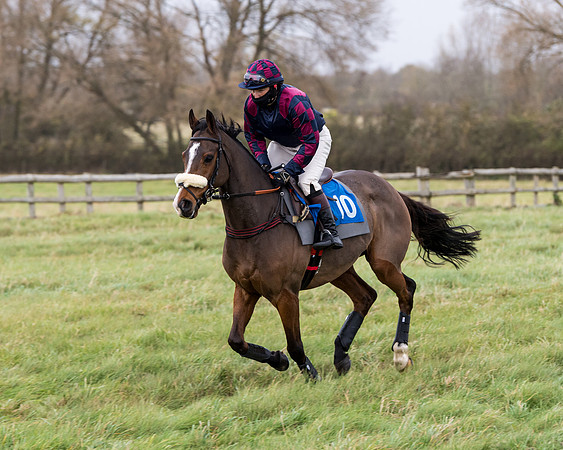 Race 6 - PPORA Novice Riders (50 of 290)