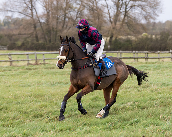 Race 6 - PPORA Novice Riders (52 of 290)