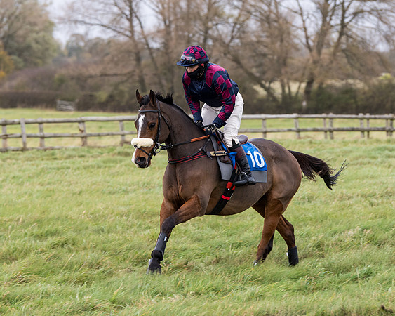 Race 6 - PPORA Novice Riders (53 of 290)