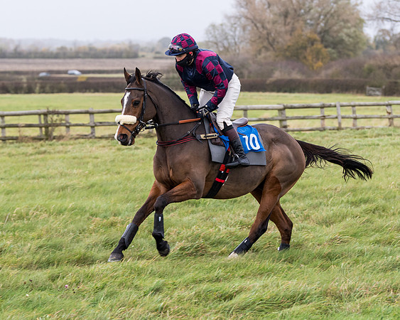 Race 6 - PPORA Novice Riders (54 of 290)