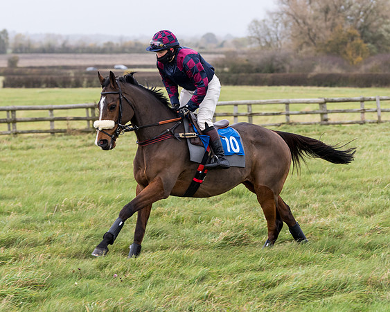 Race 6 - PPORA Novice Riders (55 of 290)
