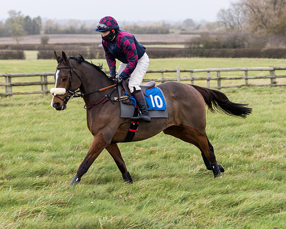 Race 6 - PPORA Novice Riders (56 of 290)