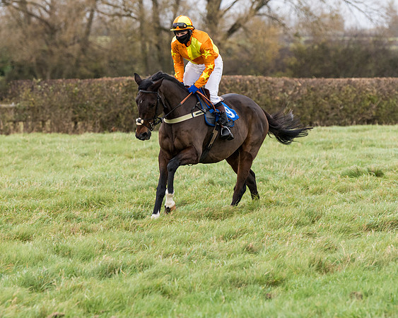 Race 6 - PPORA Novice Riders (57 of 290)