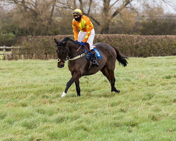 Race 6 - PPORA Novice Riders (58 of 290)