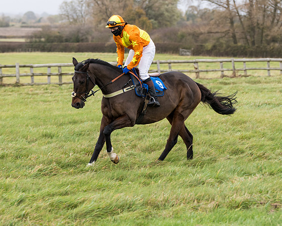 Race 6 - PPORA Novice Riders (60 of 290)