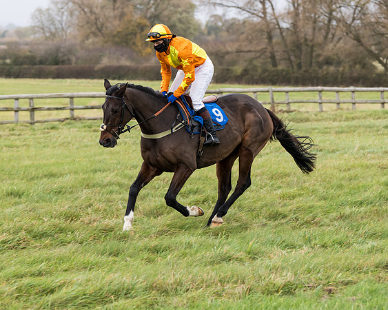 Race 6 - PPORA Novice Riders (59 of 290)