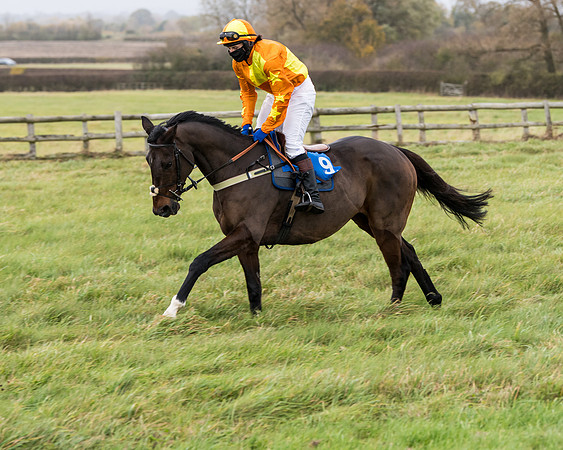 Race 6 - PPORA Novice Riders (61 of 290)