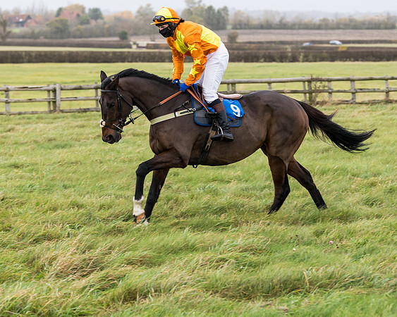 Race 6 - PPORA Novice Riders (64 of 290)