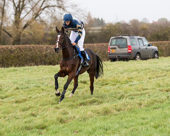 Race 6 - PPORA Novice Riders (65 of 290)