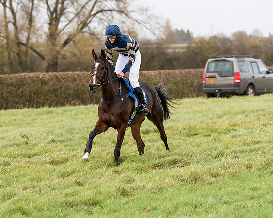 Race 6 - PPORA Novice Riders (66 of 290)