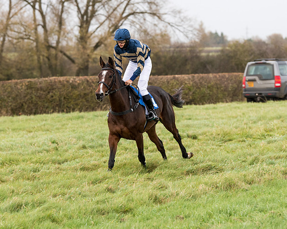 Race 6 - PPORA Novice Riders (67 of 290)