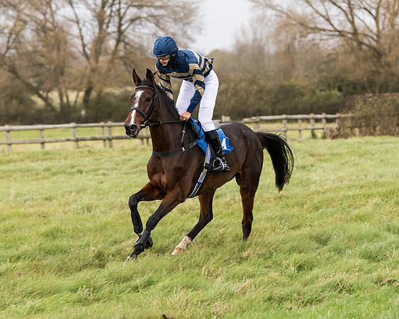 Race 6 - PPORA Novice Riders (68 of 290)