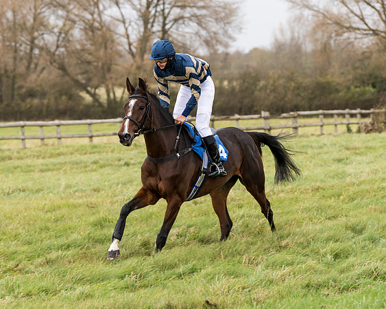 Race 6 - PPORA Novice Riders (69 of 290)