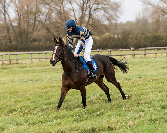 Race 6 - PPORA Novice Riders (70 of 290)