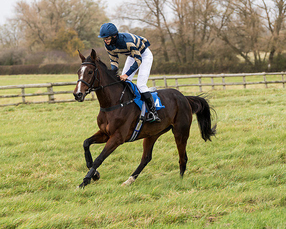 Race 6 - PPORA Novice Riders (71 of 290)