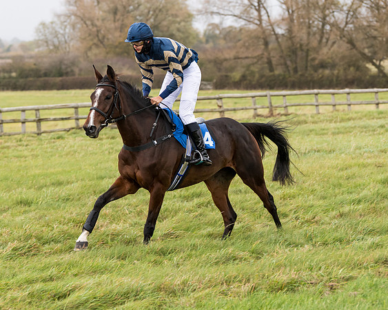 Race 6 - PPORA Novice Riders (72 of 290)