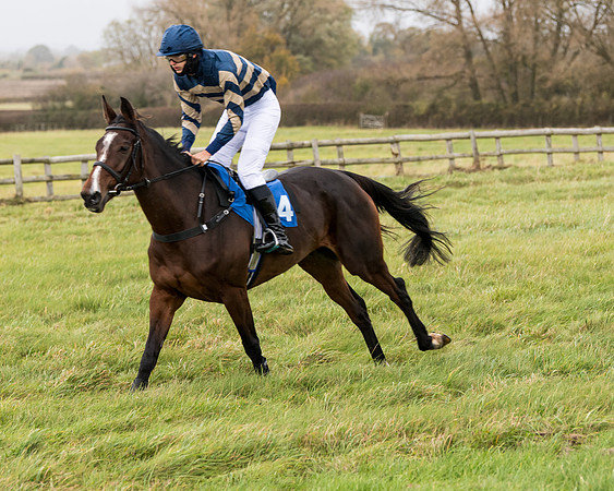 Race 6 - PPORA Novice Riders (73 of 290)