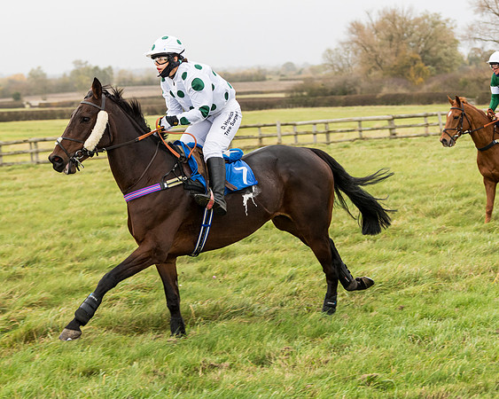 Race 6 - PPORA Novice Riders (75 of 290)