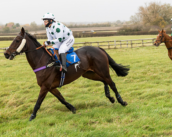 Race 6 - PPORA Novice Riders (76 of 290)