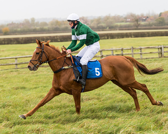 Race 6 - PPORA Novice Riders (77 of 290)