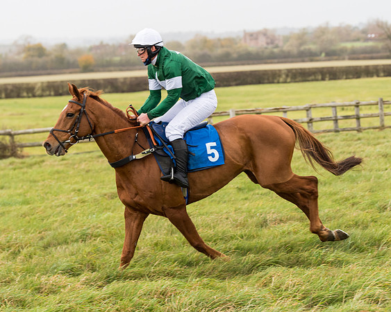 Race 6 - PPORA Novice Riders (78 of 290)