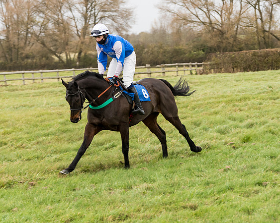 Race 6 - PPORA Novice Riders (80 of 290)