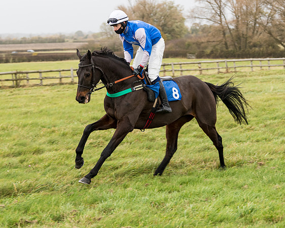 Race 6 - PPORA Novice Riders (83 of 290)