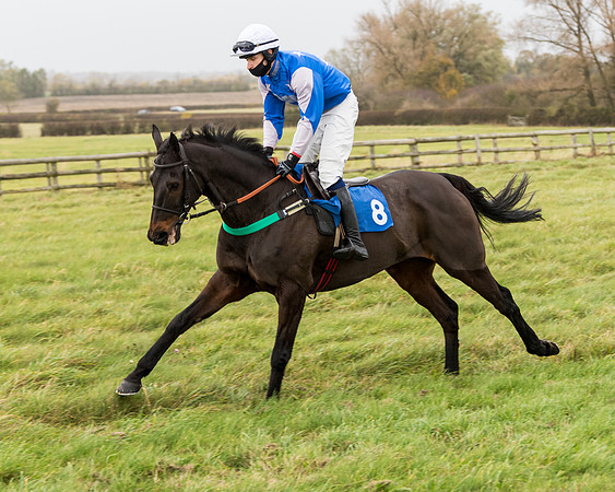 Race 6 - PPORA Novice Riders (84 of 290)