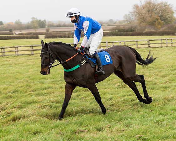 Race 6 - PPORA Novice Riders (85 of 290)