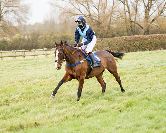 Race 6 - PPORA Novice Riders (87 of 290)