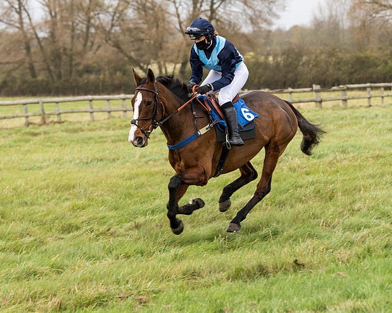 Race 6 - PPORA Novice Riders (88 of 290)