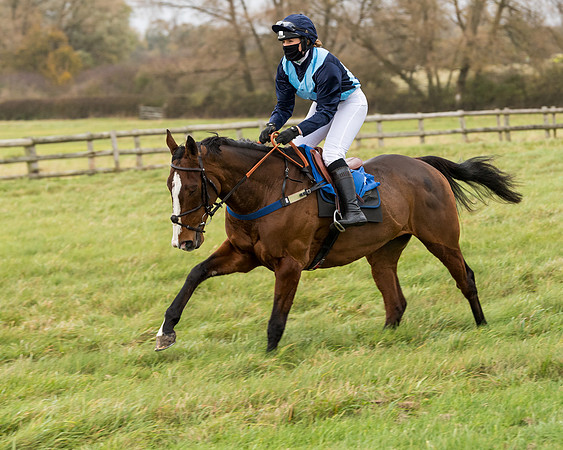 Race 6 - PPORA Novice Riders (89 of 290)