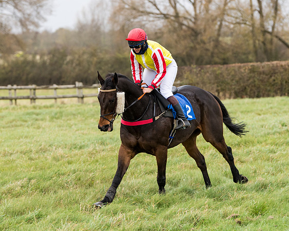 Race 6 - PPORA Novice Riders (94 of 290)