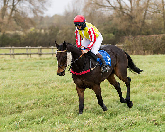 Race 6 - PPORA Novice Riders (95 of 290)