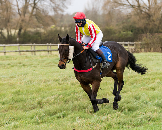 Race 6 - PPORA Novice Riders (96 of 290)