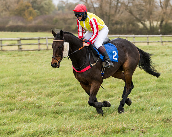 Race 6 - PPORA Novice Riders (97 of 290)