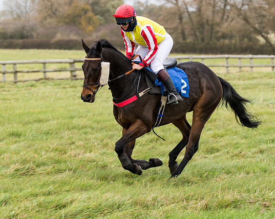 Race 6 - PPORA Novice Riders (98 of 290)