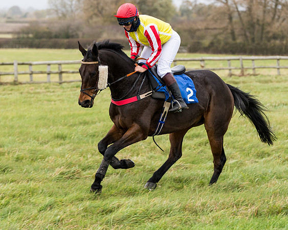 Race 6 - PPORA Novice Riders (99 of 290)