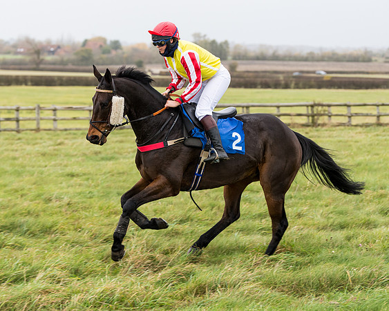 Race 6 - PPORA Novice Riders (100 of 290)