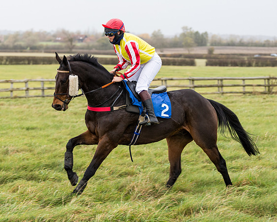 Race 6 - PPORA Novice Riders (101 of 290)