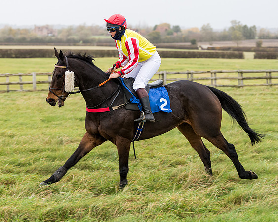 Race 6 - PPORA Novice Riders (102 of 290)