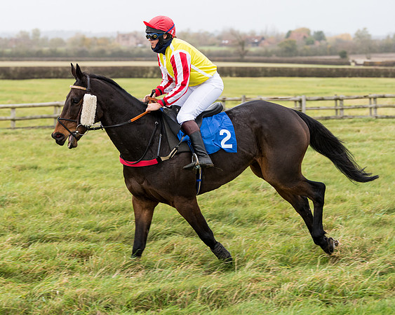 Race 6 - PPORA Novice Riders (103 of 290)