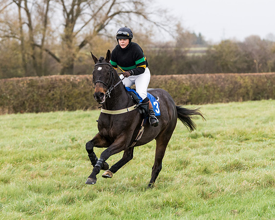 Race 6 - PPORA Novice Riders (104 of 290)