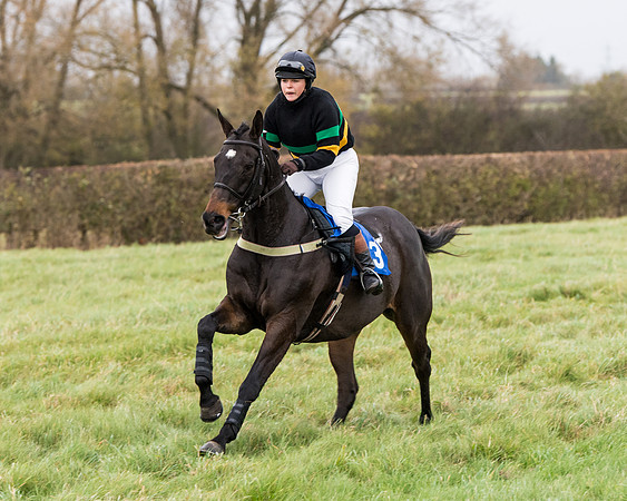 Race 6 - PPORA Novice Riders (105 of 290)