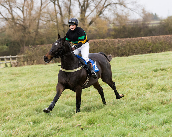 Race 6 - PPORA Novice Riders (106 of 290)
